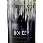 Afrikaans Thriller Kindle eBook by LAPA Uitgewers 544‑Page Suspense-0